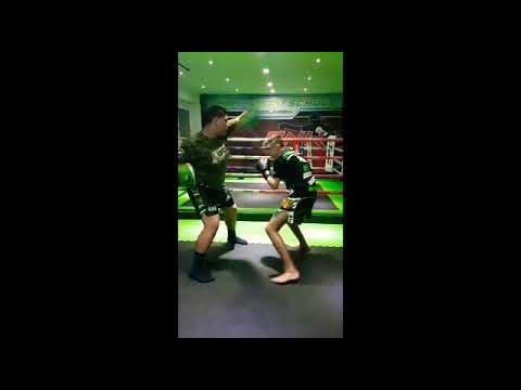 Kickboxen Training