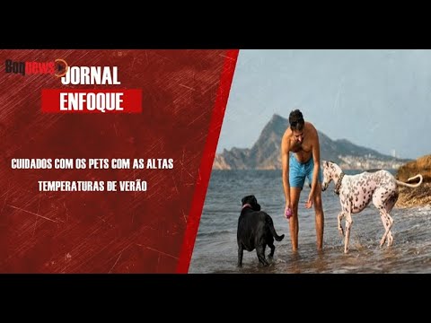 Médico Veterinário Eduardo Filetti fala dos cuidados com os animais no verão