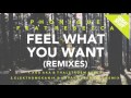 Phonique feat. Rebecca - Feel What You Want ...