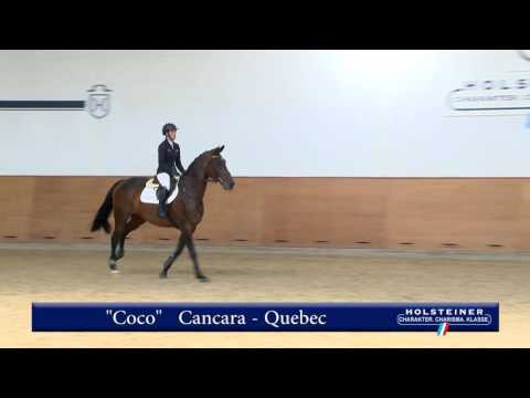 106. Coco v. Cancara - Quebec