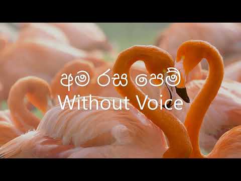 Ama Rasa Pem Karaoke (Without Voice)/ Shrimathi Thilakarathne