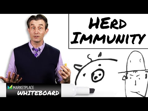 How does Herd Immunity work?