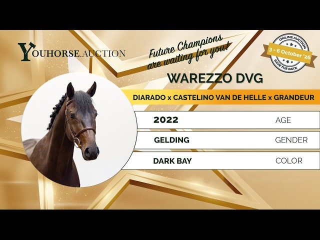Warezzo DVG