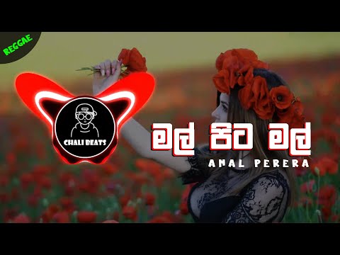 Mal Pita Mal Reggae Mix / Amal Perera / CHALI BEATS