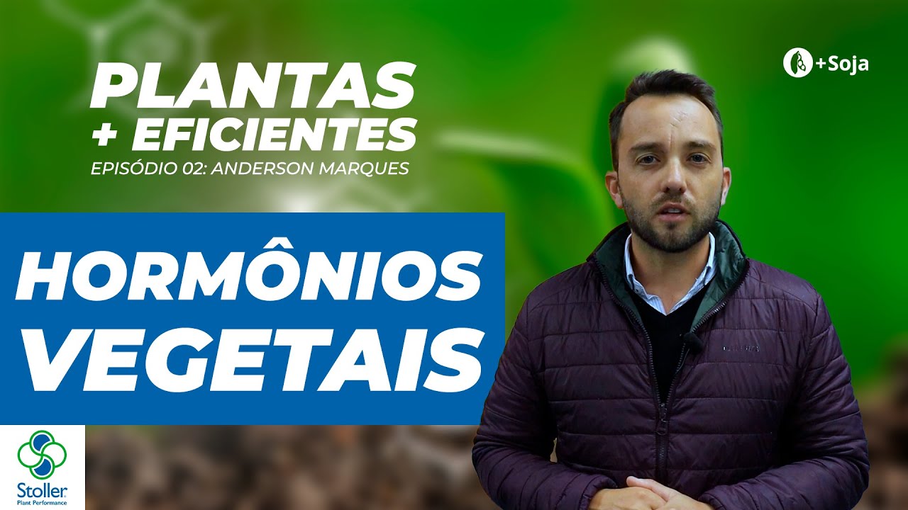 As principais funções dos hormônios vegetais na soja. Websérie: Plantas mais Eficientes | EP.02