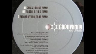 The Horrorist - One Night In NYC ( Ricardo Villalobos Remix )