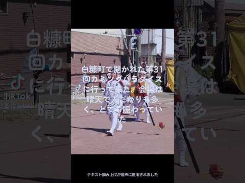 日本文化学科 第31回カミパラに行って来た