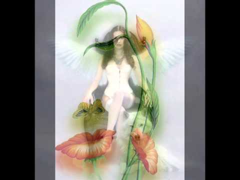 Zekai TUNCA----Aşka merakım ezelden----CÂNO