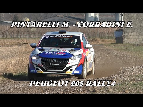 PREALPI MASTER SHOW 2024 | PINTARELLI M. - CORRADINI E. | PEUGEOT 208 RALLY4 | VIDEOCLIP