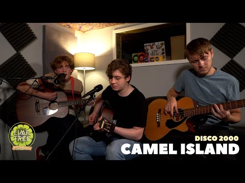 Pulp - Disco 2000 (Cover by Camel Island) | Lime Tree Sessions