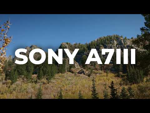 Can the Sony A7III Still Compete in 2025? Watch This.