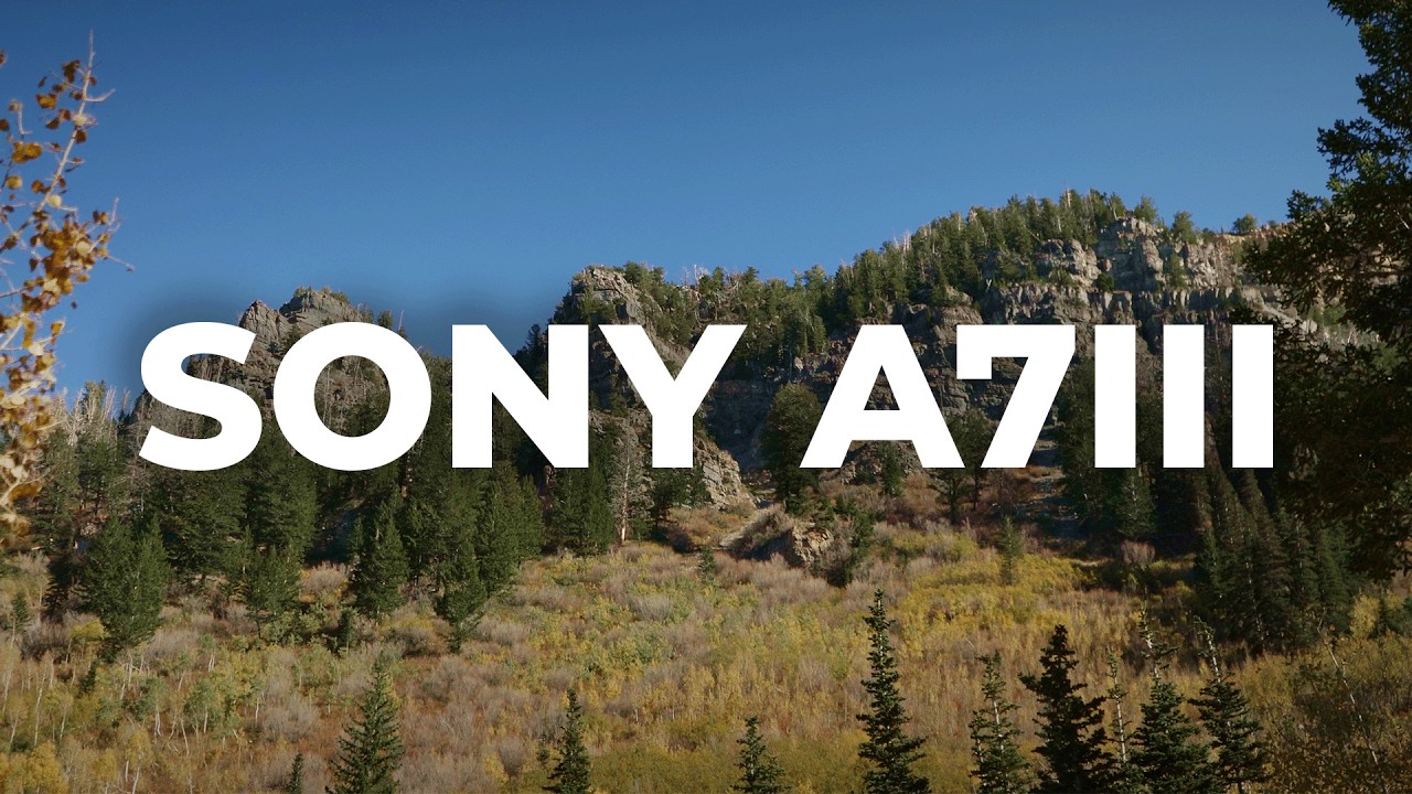Can the Sony A7III Still Compete in 2025? Watch This.