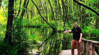 Węgry - inspiracje aquascapingowe