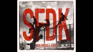 Personal Trainer - SFDK - Sin miedo a vivir