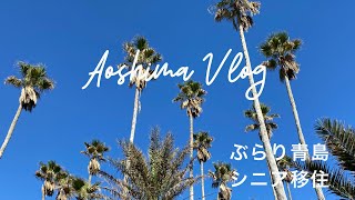 Dropping in at Aoshima Flower Show & Sunday Market.   宮崎の青島にシニア移住。青島サンデーマーケットで幸せUP。