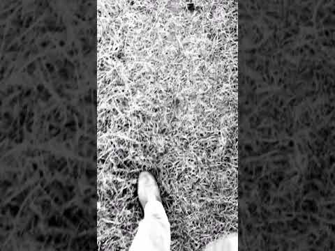 Story II by Madalin Luca