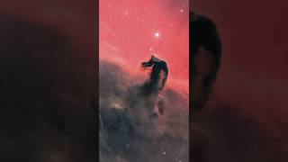The Horsehead #Nebula. #astronomy #astronerds #telescope #space #galaxy #stars #stem #night #sky