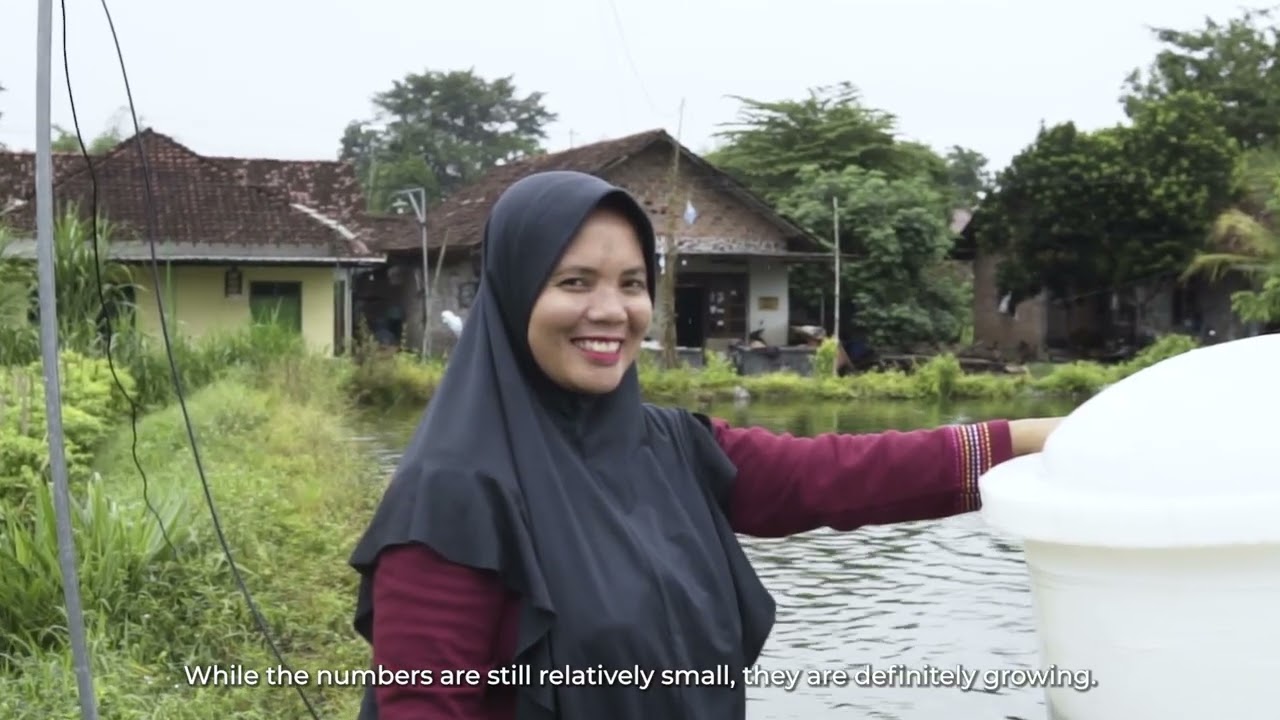 Pay for Results in Indonesia: AgResults' Aquaculture Innovation Journey