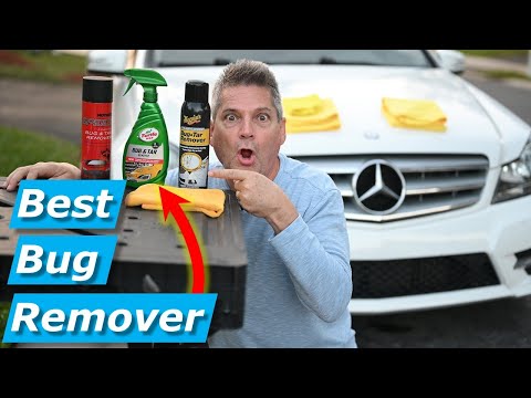 What is Best Bug/Tar Remover 2023? Meguiars, Mothers, Turtle Wax?