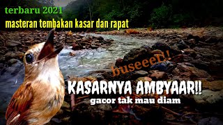 Download lagu masteran srdc gacor untuk srdc bahan biar cepat bunyi dan buka paruh, terapi srdc biar cepat bunyi. mp3
