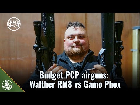 Budget PCP airguns: Walther RM8 vs Gamo Phox