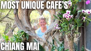 Chiang Mai's Coffee Paradise: Your Ultimate Cafe-Hopping Guide! ☕🇹🇭
