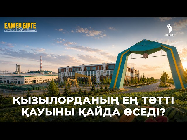 Қызылорданың ең тәтті қауыны қайда өседі?