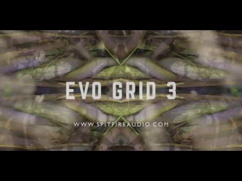 Free Download Evo Grid 3 KONTAKT