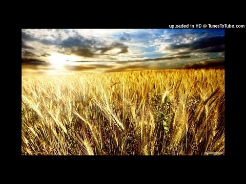 Matt Skyer pres. Skyover - Elixir (Original Mix)