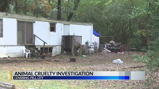 Over 50 animals found in Pell City home; wife, husband arrested