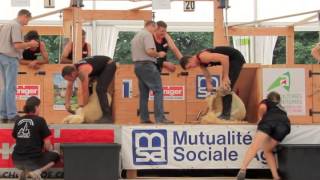 preview picture of video 'Le Dorat 2013 - 6 juillet après-midi - Eliminatoires Championnat international de tonte de moutons'