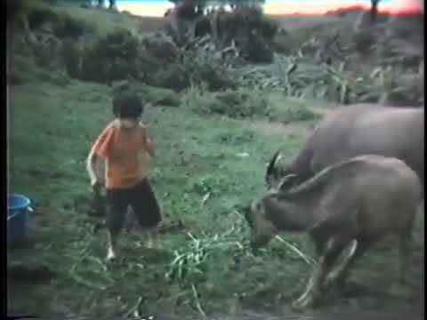 bokyo short movie (nino mulach)