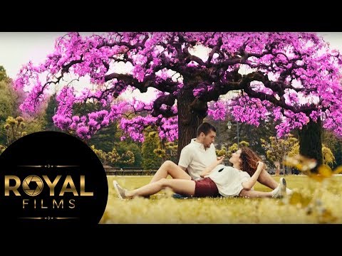 Video thumbnail for Dolly Bell