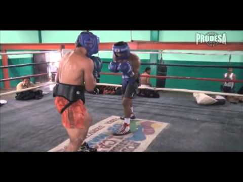 Guanteo Roman Gonzalez vs Felix Alvarado - Nov 4,2104 - Videos Prodesa