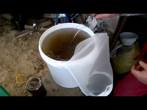 Penis powiększenie Tajlandia Wzrost członka wideo ćwiczeń