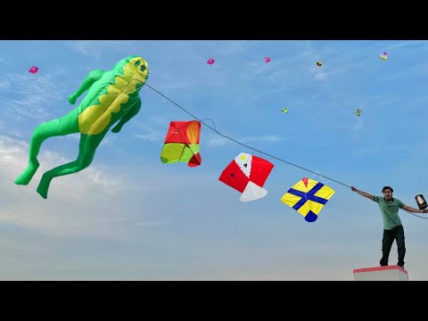 New Unique Frog Kite Catch Abubaker Roof | Frog Kite