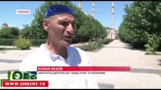 Десятки рабочих ежедневно следят за чистотой в мечети «Сердце Чечни» и в прилегающем к ней саду