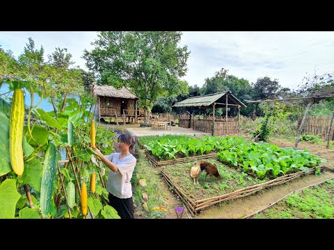 Full Video: 75 Days of farm life, Gardening, Farming, Cooking, Animal Care | Sơn Thôn