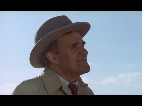 The Apple War (1971)