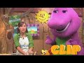 Barney S Purple Hummus Dip CLIP SUBSCRIBE