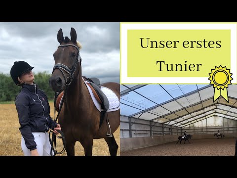 ⚜️ UNSER ERSTES TUNIER ⚜️| Chaos während  der E-Dressur | GOLDEN SORAYA ⚜️