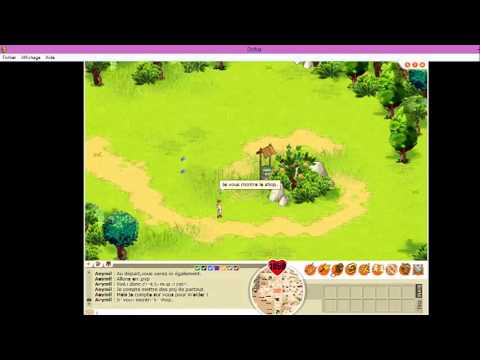 comment devenir mj serveur privé dofus