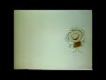 Classic Sesame Street Another Alphabet Rehearsal For Gloria
