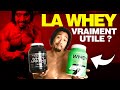 MA WHEY PERSO QUE JE CONSOMME pour avoir mon physique (abdos visibles)