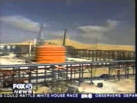 Whistleblower Bunny Greenhouse Interview