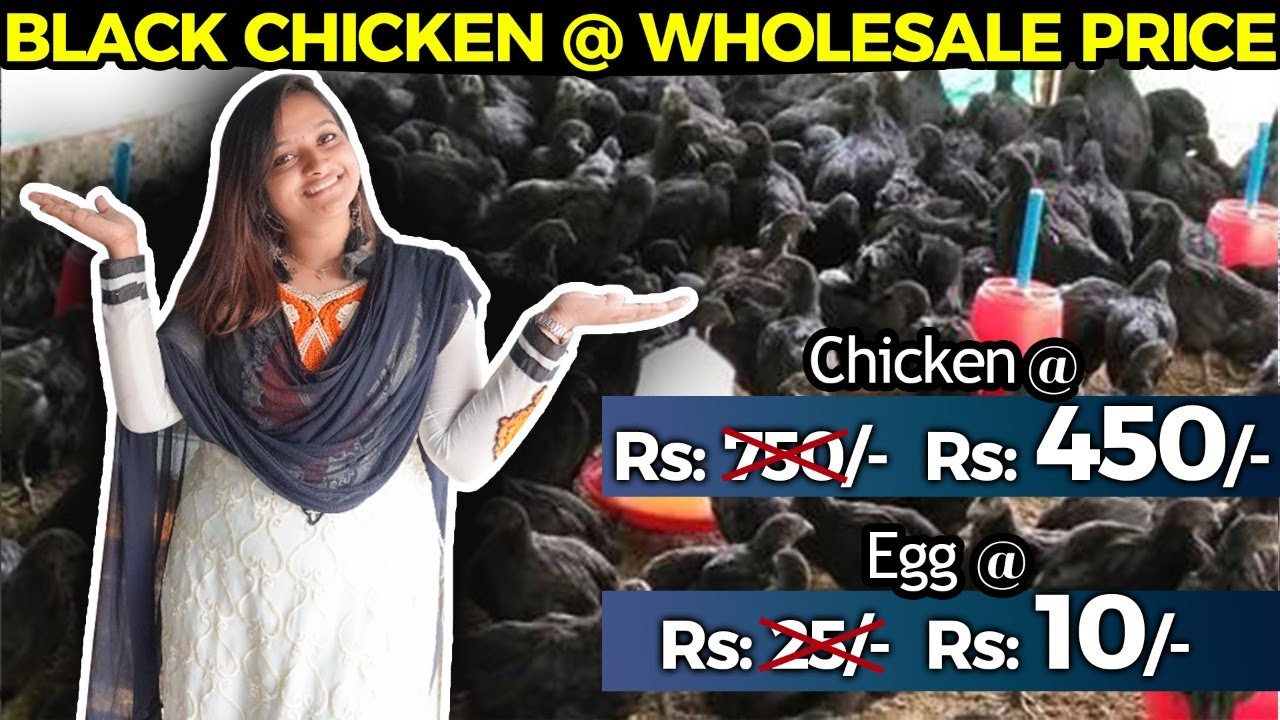 Watch video Black Chicken & Eggs @ Wholesale Price || Chennai Now Black Chicken & Eggs @ Wholesale Price || Chennai