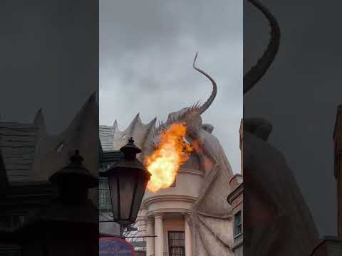 #fire #dragon #universal #harrypotter