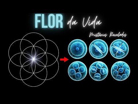 Flower of Life: The Sacred Geometry That Connects Everything