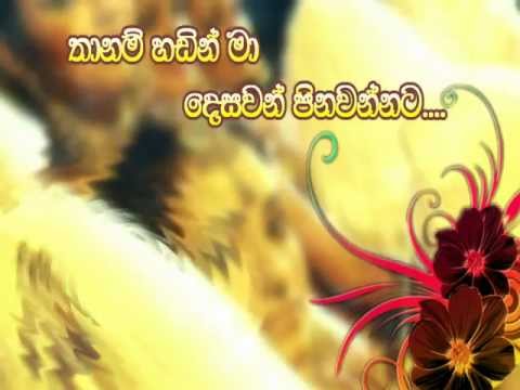 Obe Senehen Trailer - Studio 18