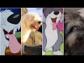 Evolution Of Prince Eric S Dog Max 1989 2023 Princeric Max Thelittlemermaid Littlemermaid